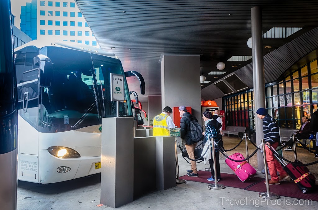 Naik Bus dari Sydney ke Canberra