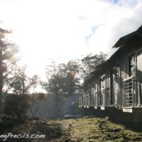 [Penginapan] Cradle Mountain Chateau, Tasmania